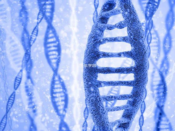 精子DNA碎片率(DFI)