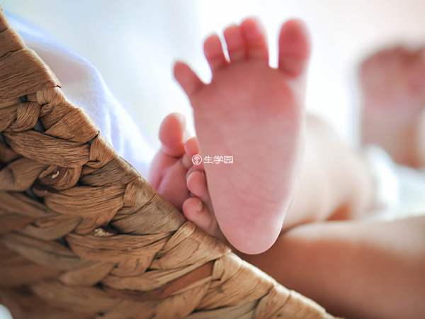 泰国试管婴儿可以选择胎儿性别