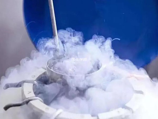 胚胎冷冻时间可达10年之久