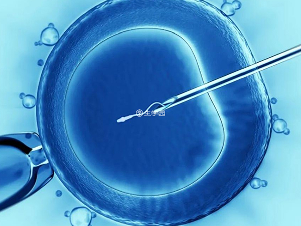 体外受精是试管流程之一