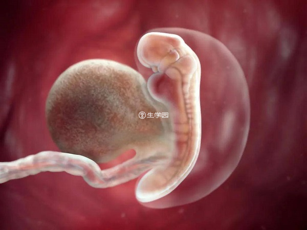 HIV洗精完成后精卵配对后养胚