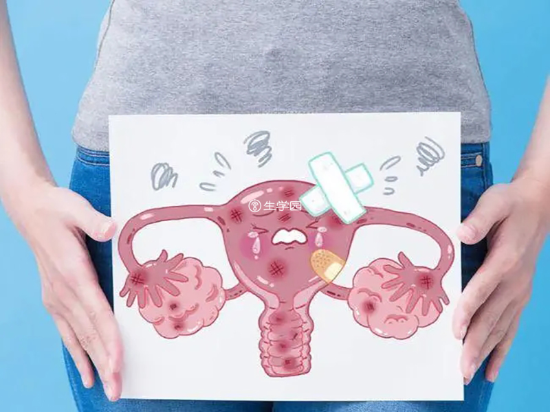 什么是胚胎移植