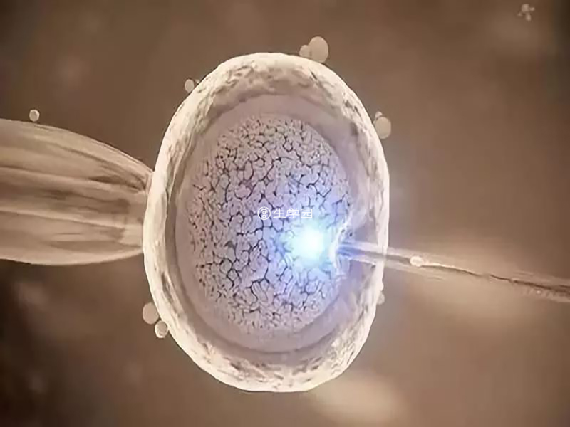 胚胎植入前遗传学诊断