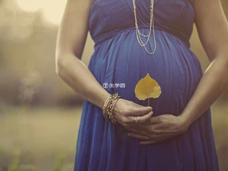 始基子宫怀孕的方法
