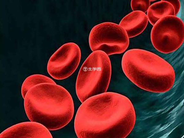 血液传播是丙肝病毒最主要的传播途径
