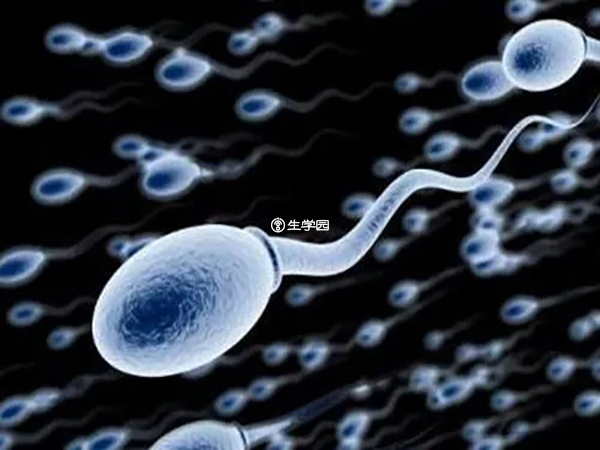 精子不液化会影响怀孕