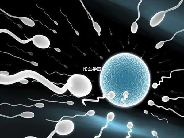 精子不液化就是精子活力不高
