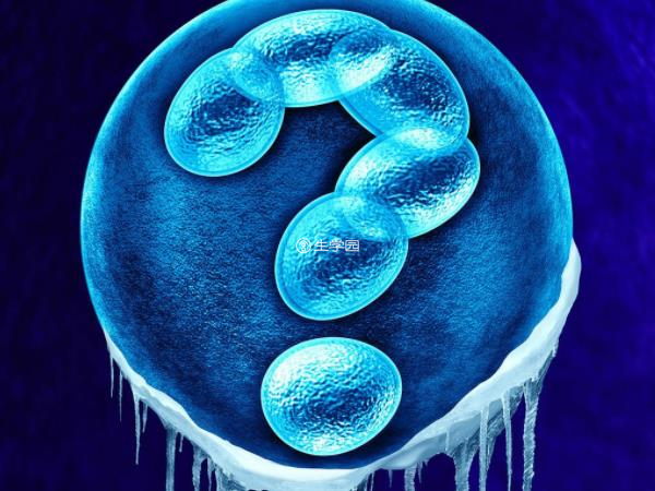 冻胚移植后可能会黄体功能不全