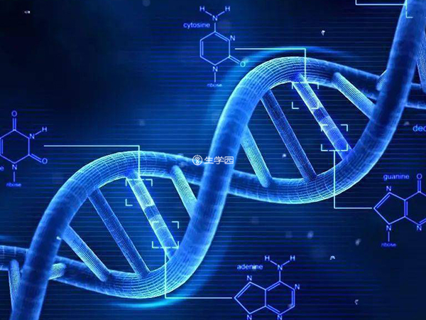 单基因遗传病患者可以做第三代试管