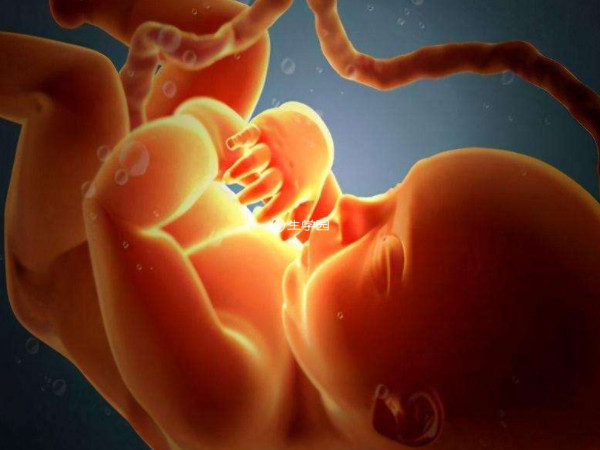 孕妇为胎盘前壁意味胎儿活动空间大